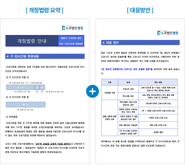 개정법령 요약 / 대응방안 이미지